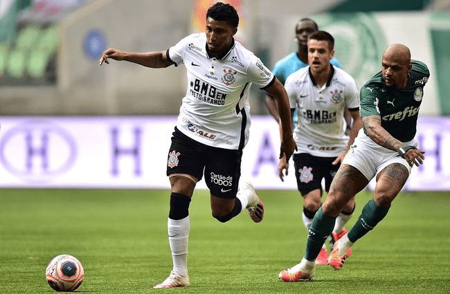 育媒体的分 育媒体的分