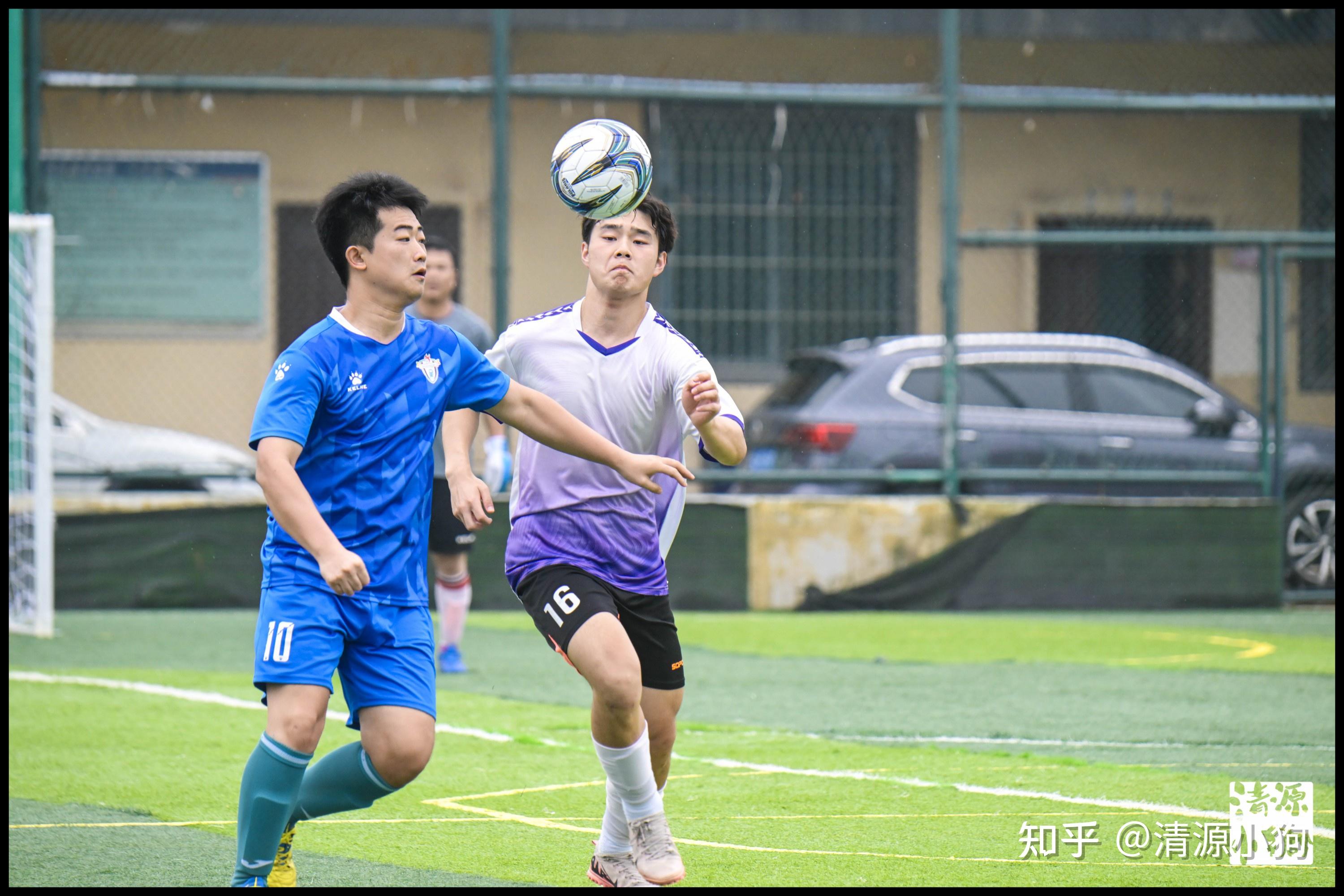 体育评论员 体育评论员