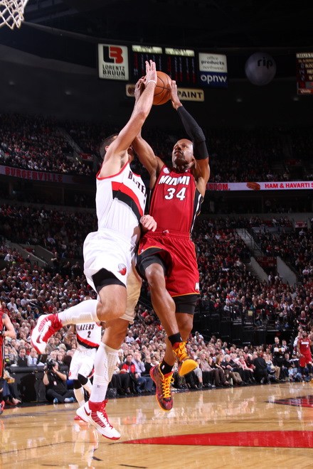 适配与延续 适配与延续