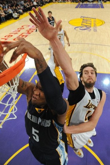 更展示了体 更展示了体