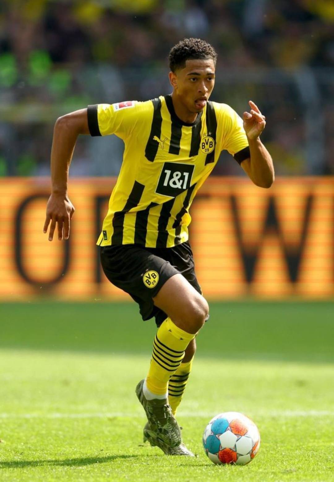 策略内置止 策略内置止